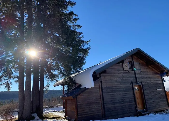 Chalet Du Bois Joli